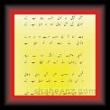 Islam uzmi 01 * 22.03.2008 * 333 x 608 * (24KB)